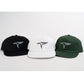 Snapback Hat